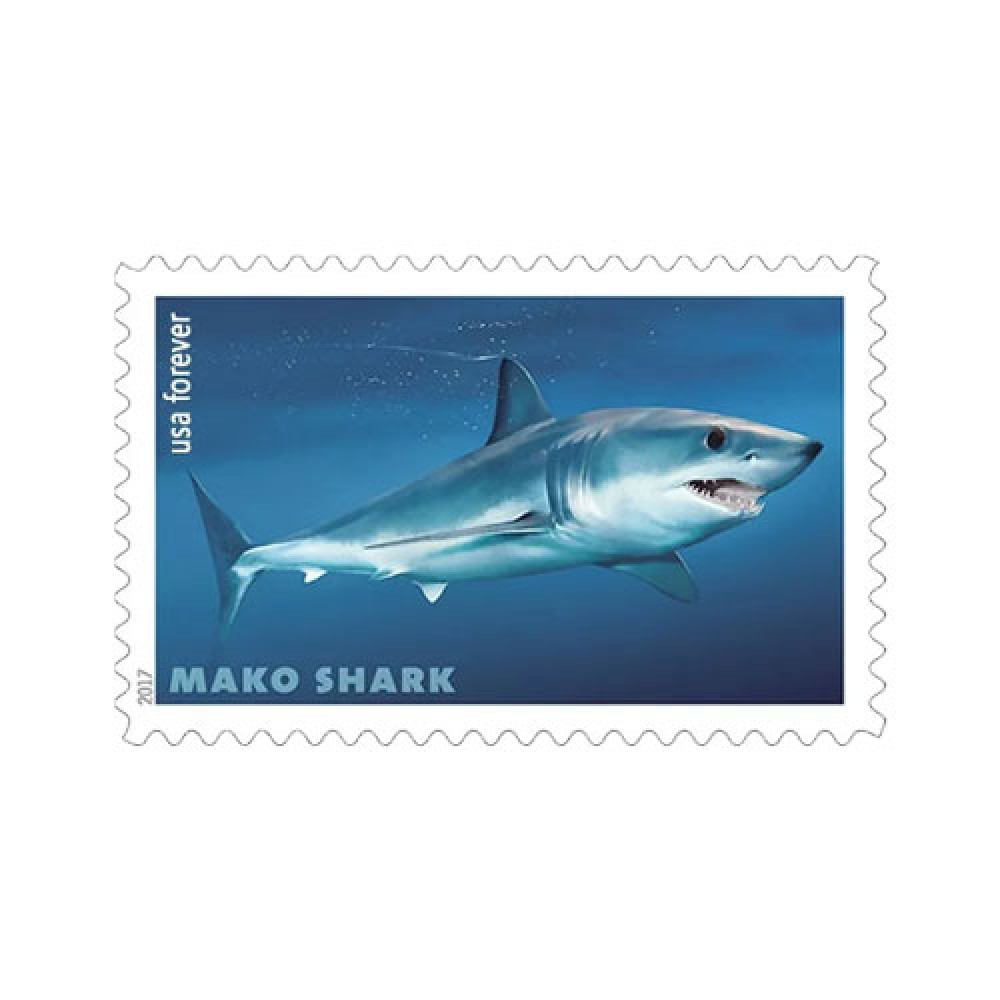 2017 USPS Shark First Class Forever Postage Stamps