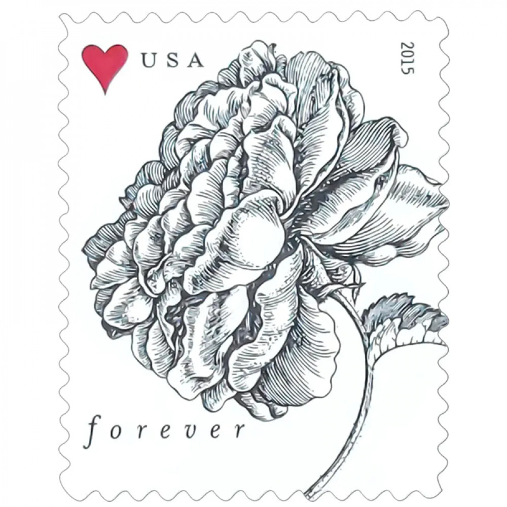 2015 Vintage Rose Pane Wedding Forever Postage Stamps